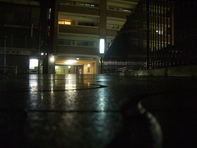 b0010882_21152778.jpg
