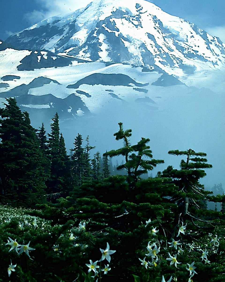 b0022138_974045.jpg