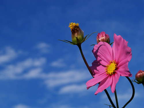 a0003746_16231050.jpg