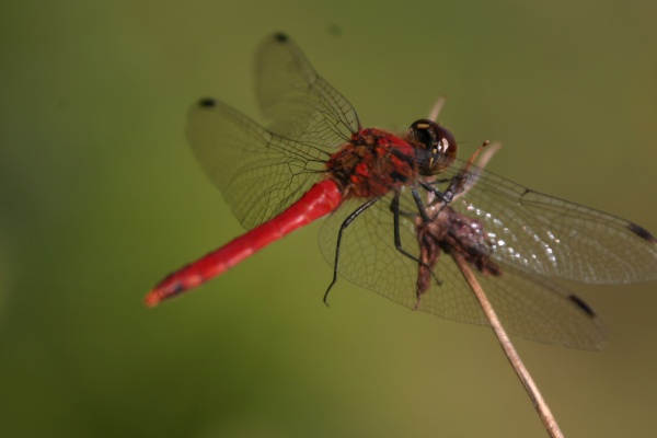 b0048463_20533586.jpg
