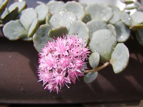 a0004023_625168.jpg