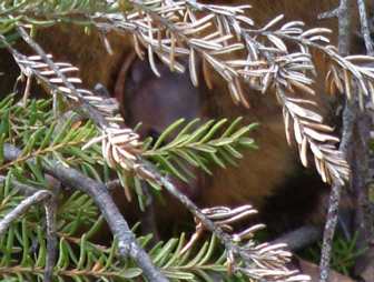b0024339_1317857.jpg