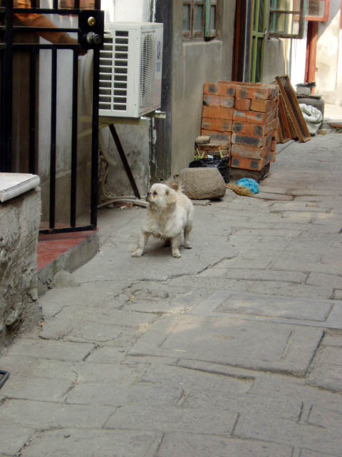 a0023740_23181470.jpg
