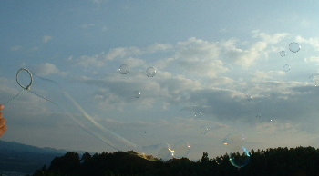 b0015260_16261985.jpg
