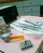 b0010882_1551310.jpg