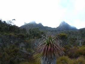 b0024339_15241339.jpg