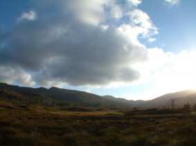 b0024339_1528421.jpg