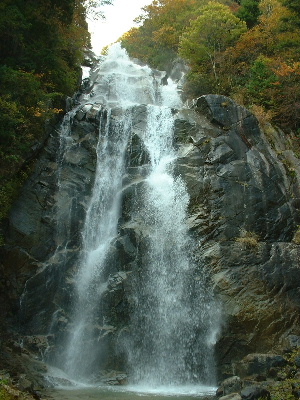 b0015260_19313030.jpg