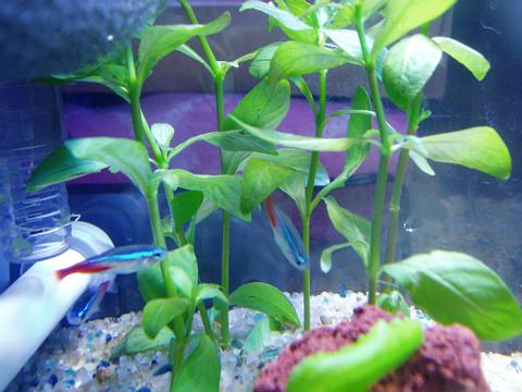 a0000014_0594028.jpg