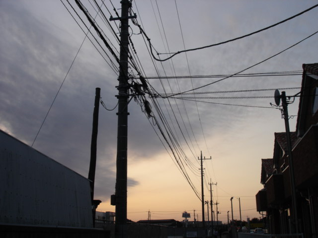 a0026254_131463.jpg