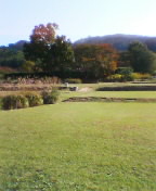 b0010882_045169.jpg