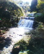 b0010882_135918.jpg