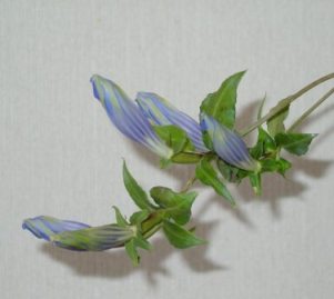 b0052108_1451313.jpg
