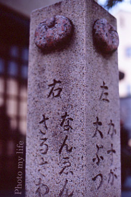 a0018719_23554955.jpg