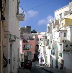 a0001226_22425871.jpg