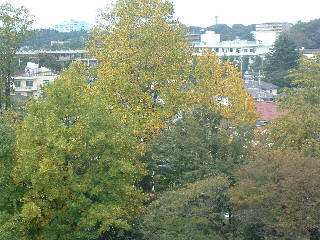 b0009665_00127.jpg