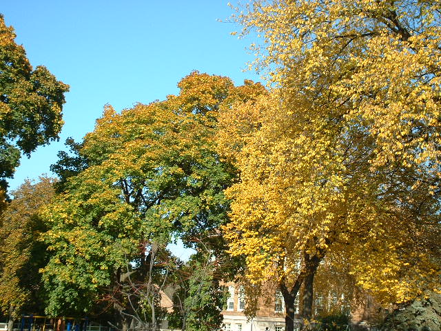 b0041473_646391.jpg