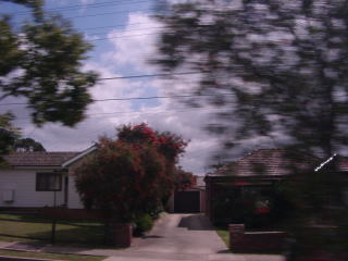 a0009747_21315893.jpg