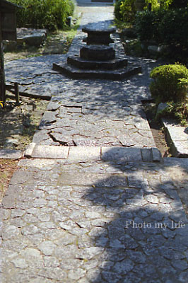 a0018719_1974518.jpg