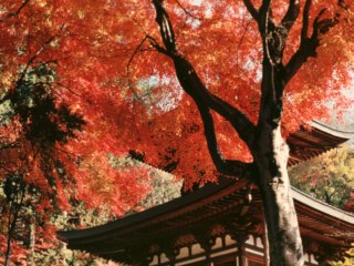 b0028330_16195546.jpg