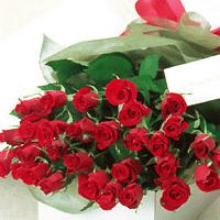 b0041537_41573.gif