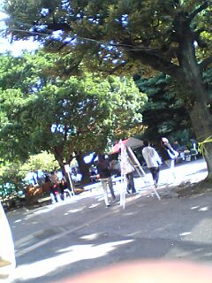 b0039350_16383173.jpg