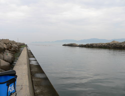 a0015815_211335.jpg