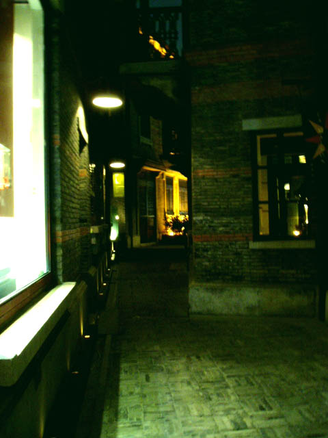 a0023740_1118846.jpg