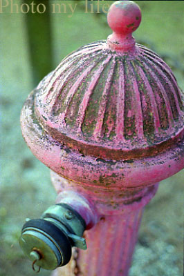 a0018719_946921.jpg
