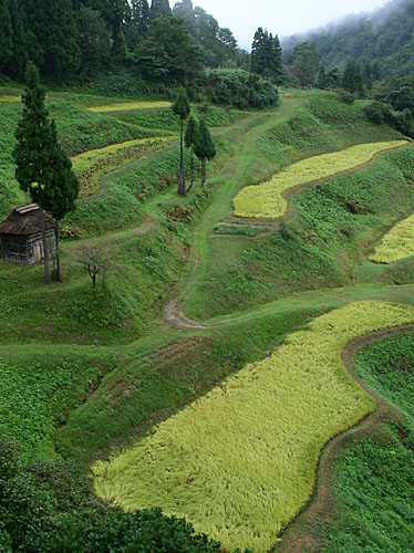 a0016637_428518.jpg
