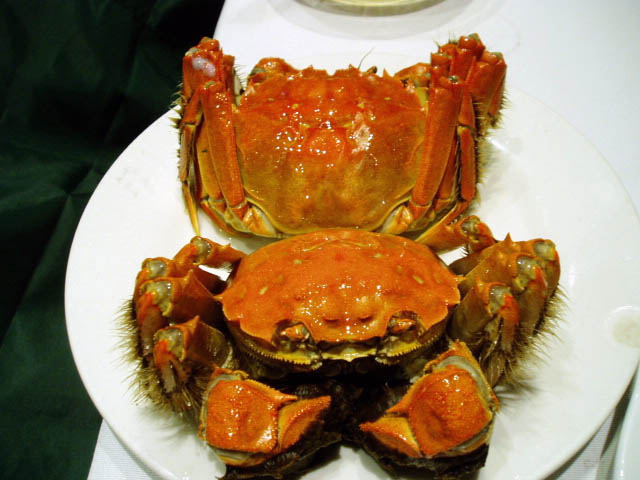 a0023740_19382656.jpg