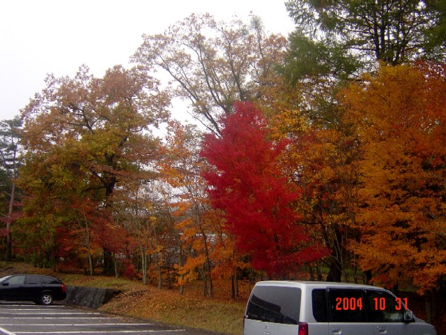 a0005691_1632220.jpg
