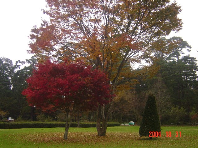 a0005691_16323388.jpg