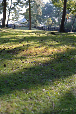 a0018719_1654407.jpg