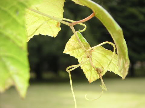 a0016829_6565117.jpg