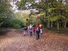 a0038129_005075.jpg