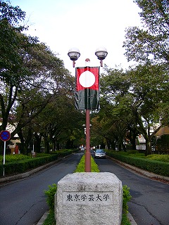 b0009029_23171287.jpg