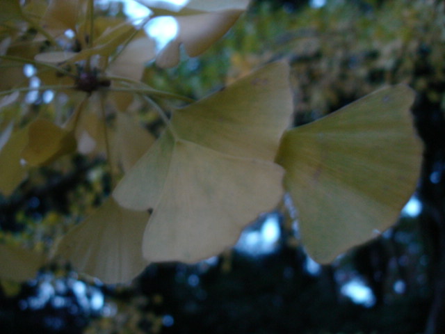 a0026254_138716.jpg