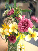 b0037160_14262498.gif