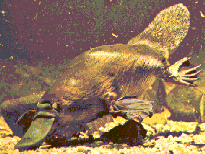 a0028694_10481946.gif