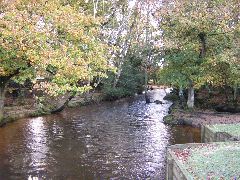 a0038129_025403.jpg