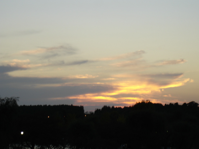 a0026254_0204710.jpg