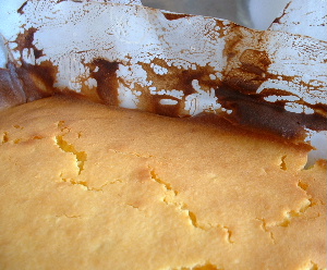 b0015260_11341219.jpg