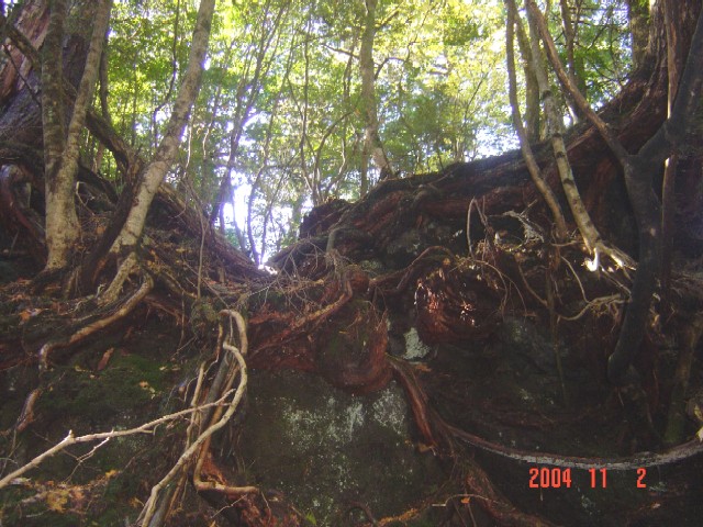 a0005691_2212687.jpg