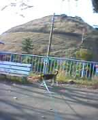 a0013905_2325766.jpg