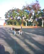 a0013905_2335311.jpg