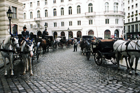b0040345_17264437.jpg