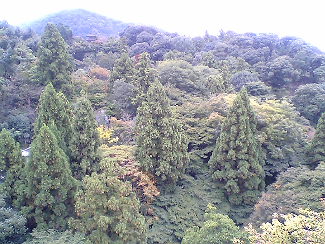 b0029704_23312693.jpg