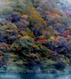 b0012252_8222287.jpg