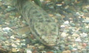 b0022570_1215453.jpg